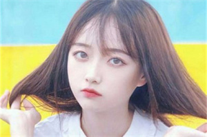 The absolute beauty of all four seasons: Shanghai's most suitable travel destinations with four-seasonal charm The absolute beauty of all four seasons: Shanghai's most suitable travel destinations with four-seasonal charm